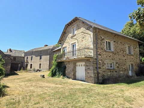 photo no. 2