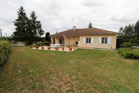 photo no. 13