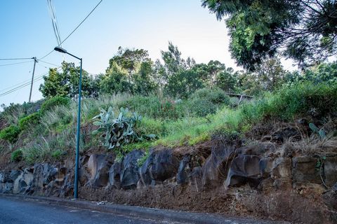 For sale land with 1450 m2, with the possibility of construction of 3 semi-detached houses, according to a project that existed previously. Located 5 minutes from the airport, 5 minutes from Machico city centre, 5 minutes from Santa Cruz city centre ...
