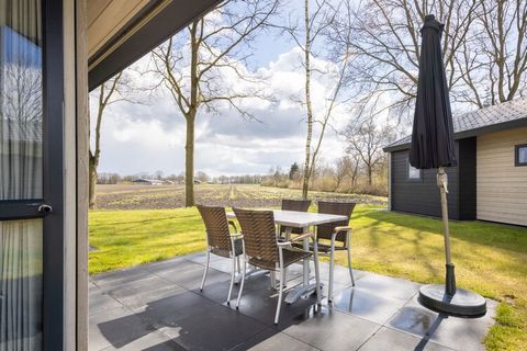 This pleasant lodge of the tiny house type is located at Holiday Park De Tolplas, not far from the recreational lake with the same name and only 12 km from the city of Almelo. As you would expect from a tiny house, you have everything, but in a small...