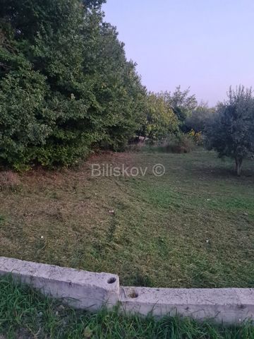 Leather Agricultural land with an area of 1331 m2 near the town of Kožino, on which there is an olive grove with 23 planted olive trees. Land dimensions approx. 18 m (w) x 73 m (d). Quiet location, surrounded by other olive groves and agricultural la...