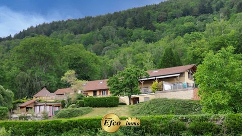 Between the Haut-Rhin and the Vosges, 30 kilometres from Mulhouse and La Bresse. Quiet property, close to a town with all amenities. Discover this estate, nestled in the heart of nature at an altitude of 680 meters. With a living area of over 400m2 o...