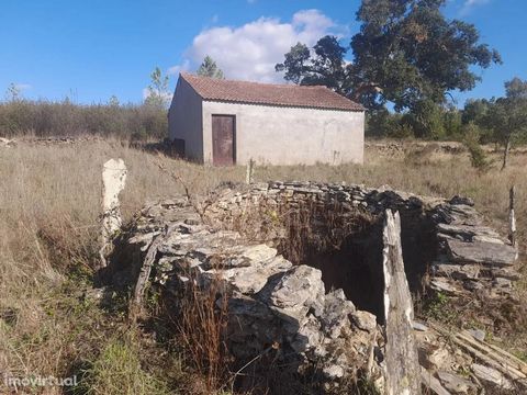 Farm with good access on dirt, close to the village of Benquerenças. This farm has two wells, an agricultural support building and good cultivated land, with fruit trees and cork oaks. * Farm with good dirt track access, close to the village of Benqu...