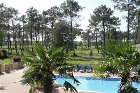 At the comfortable holiday resort Les Villas des Greens du Bassin, you have a choice of different types of holiday homes. The apartments, houses and villas are built in the local Landaise style. All accommodations are spaciously designed and feature ...
