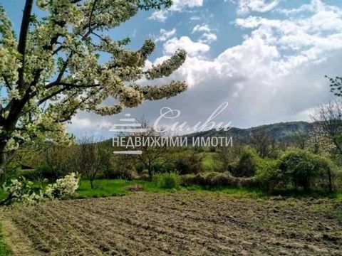 Plot of land in regulation with an area of 1450 sq.m. - Lapwing. The property is FLAT with a large face of 25 m. It is suitable for the construction of a two-family house or other type of residential construction. There is an open batch for WATER. Th...