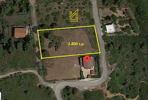 1,800 sq.m. Plot with Maisonette and Apartment - Your Next Investment Description: Discover a unique piece of land, perfect for investment, with a 1,800 sq.m. plot consisting of 4 subplots of 450 sq.m. each. It is for sale as a whole or as 4 separate...