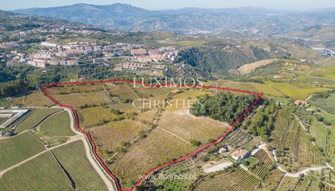Excellent wine estate in the Alto Douro Wine Region, Douro Valley . Located 5 minutes from the center of Lamego, in Alvelos, with views of the valley and the city, as well as the Varosa river valley. It has an official DOC Douro mechanized vineyard w...