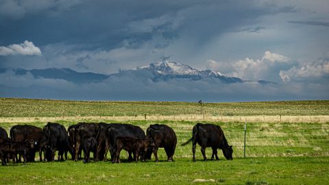 Nu erbjuder den västra enheten av den berömda Tee Cross Ranch separat! Denna anmärkningsvärda ranch är nu tillgänglig för första gången på 73 år, efter att ha omhuldats och ägts av den berömda Robert C. Norris och hans familj. Ranchen sträcker sig öv...