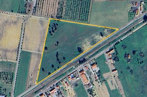 Je vous présente à la vente un terrain rustique, d’une superficie totale de 27750m². Le terrain est situé à 25 minutes de Setúbal, à 35 minutes de Montijo, près de l’entrée des autoroutes, à Craveira de Norte. Avec une morphologie plate, le terrain s...