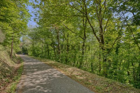 Southern Cévennes, only 10 minutes from Villefort Non-Building Land of about 1350m2, ideal for woods (Cherry Trees, Chestnut Trees...) This property is entrusted to us by the sellers, so it is essential to contact us for any additional information an...