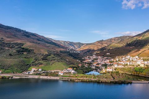 Located in the International Douro wine region, integrated in the Denomination of Controlled Origin (DOC), this 16-hectare vineyard property with stunning views over the Douro River, is located on the right bank of the Douro River between Régua and P...