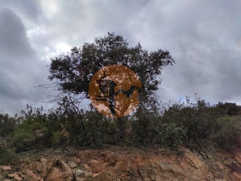 Terreno rustico con 44.800 m2, a Pisa Barro - Castro Marim - Algarve. Buoni successi. Possibilità di costruzione di magazzini. Vicino alla Diga di Pisa Barro. Ottima vista panoramica sulle montagne dell'Algarve. Ottima esposizione al sole. La terra h...