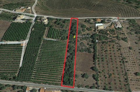 Description Rustic land with a total area of 3,800m² located on the site of Sobrado in Algoz, municipality of Silves, approximately 20 minutes from Armação de Pera and the beaches. Approximately 19% of this area is integrated into Urban Land in the U...