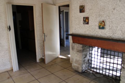 photo no. 6
