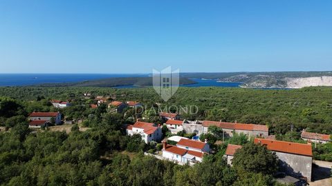 Location: Istarska županija, Labin, Labin. Vicino alla pittoresca cittadina di Albona viene offerto in vendita un terreno edificabile di 509 m² con un progetto completato per una moderna casa familiare con piscina. Il progetto ha già ricevuto un Mast...