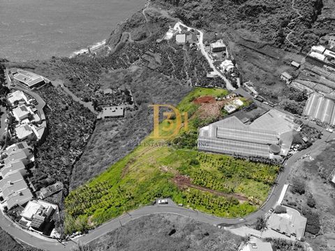 Excellent location in Tabua, Madeira. Flat plot of 9145m² with sea view and sunny, perfect for building semi-detached or detached houses. Also ideal for dividing the land. Good access and negotiable price, with an excellent price per square meter for...