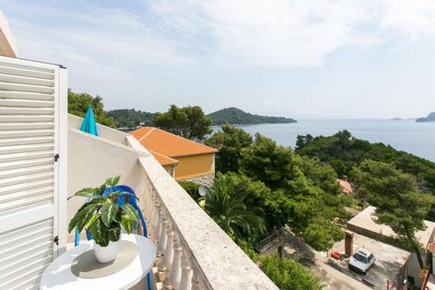 Apartments Laura - Mljet are located just few steps away from the sea in Sobra on island Mljet. Luggage storage before check in and after check out is available, so that you can explore the place a bit more before your departure. Free private parking...