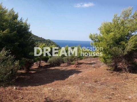 Description Keri, Agricultural Land For Sale, 4.239 sq.m., Price: 160.000€. Πασχαλίδης Γιώργος Additional Information Excellent plot of 4239,36sqm in Keri of Zakynthos overlooking the village of Keri and the sea of Agalas. It has easy access and is i...