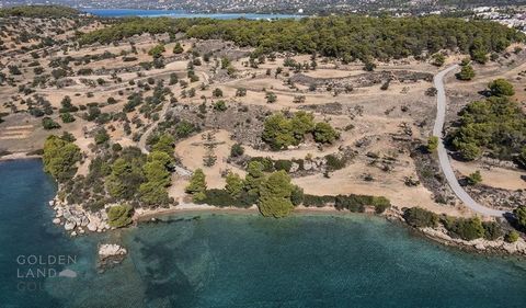 Situated on the seafront in the popular bay of Porto Heli, this property offers panoramic views of the sea and surrounding islands. Maison GADAIT offers you the unique opportunity to become the owner of this exceptional 10,000 m² plot, just 5 minutes...