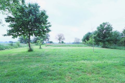 photo no. 2