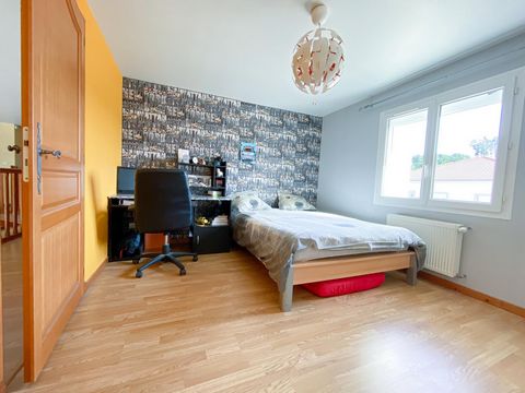photo no. 8