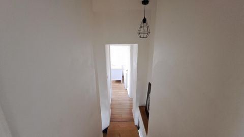 photo no. 8