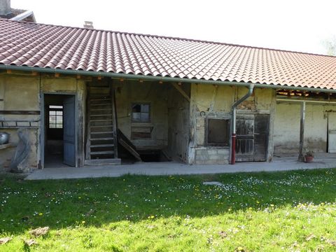 photo no. 9