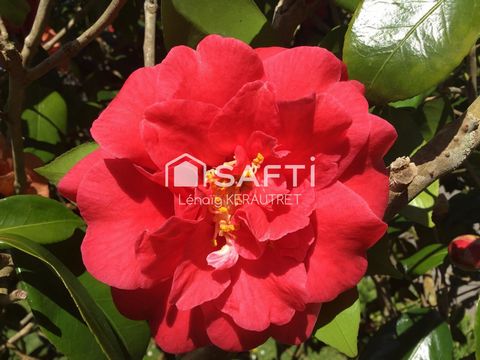 photo no. 11