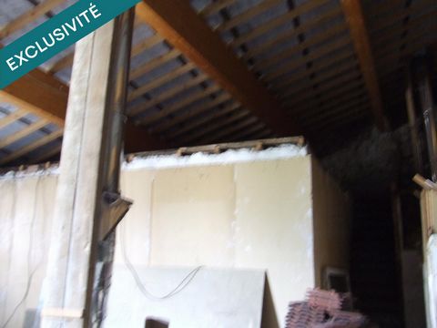 photo no. 11