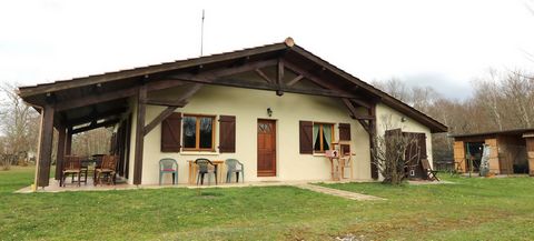 photo no. 12