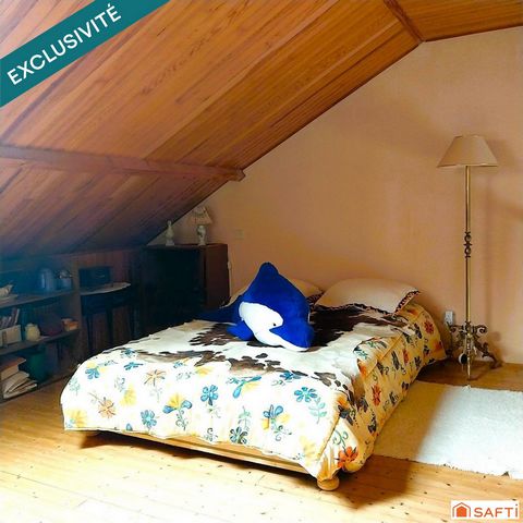 photo no. 8