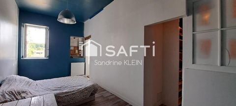 photo no. 11
