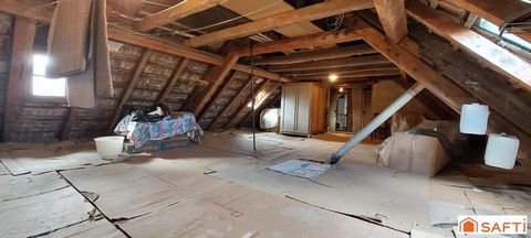 photo no. 14