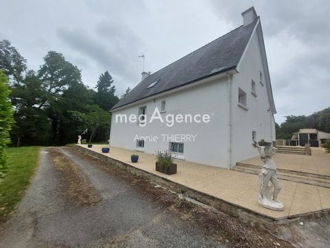 photo no. 10