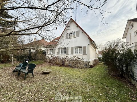photo no. 11