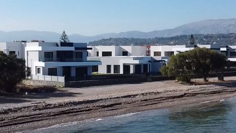 Appartement op de 1e verdieping in een gloednieuw complex, op slechts 17 meter van de kust zonder enige kruisende weg. Wanneer u uit uw tuin stapt, bent u slechts 20 stappen verwijderd van de prachtige Egeïsche Zee. Deze geweldige ontwikkeling biedt ...
