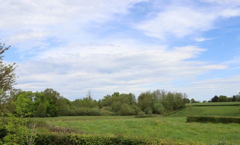 photo no. 1