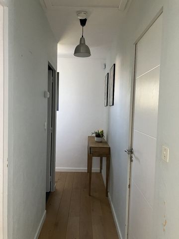 photo no. 16