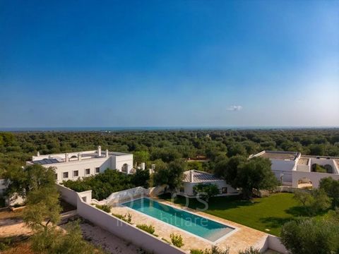 Gelegen tussen het iconische witte stadje Ostuni en de Adriatische Zee, biedt deze volledig gerestaureerde masseria een unieke investeringskans in een van de meest gewilde regio's van Puglia. Het landgoed beslaat ongeveer 15 hectare productieve, geïr...