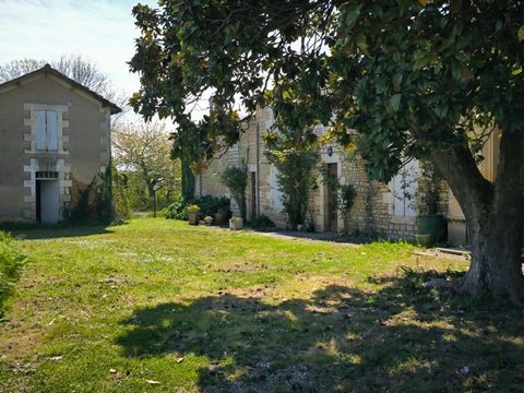 photo no. 16
