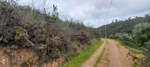 Descubra este terreno rústico em Monchique, Faro, por apenas 112.000. Com uma localização privilegiada, este espaço oferece uma oportunidade única para quem procura um refúgio natural, rodeado pela beleza da serra e com acesso a água, ideal para cult...