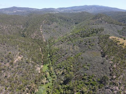 Descubra este magnífico terreno rústico em Monchique, Faro, disponível por 225.000. Com vistas deslumbrantes para a montanha, este espaço é ideal para quem procura tranquilidade e natureza. A propriedade é rodeada por arbustos, árvores antigas e frut...