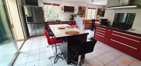 photo no. 14