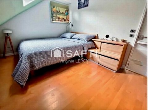 photo no. 6