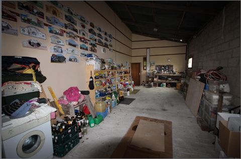 photo no. 17