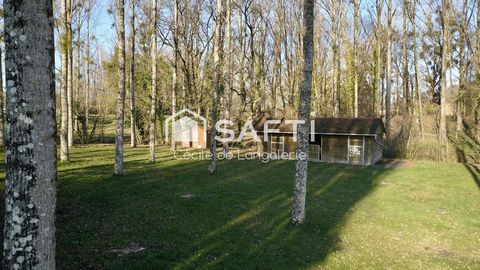 photo no. 13