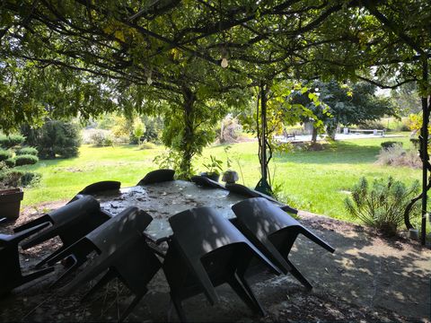 photo no. 16