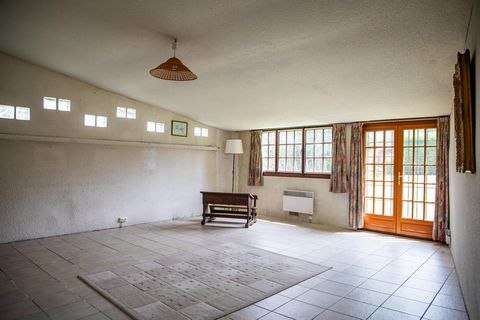 photo no. 3