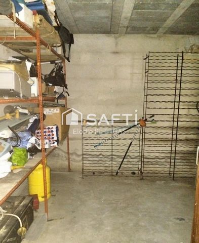 photo no. 12