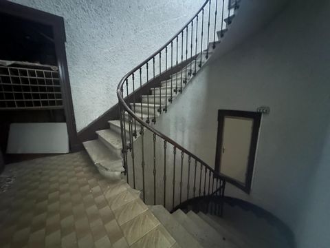 photo no. 7